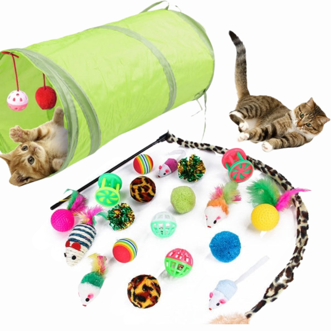 Kit Túnel + 20 Brinquedos para gatinhos - Nikita®
