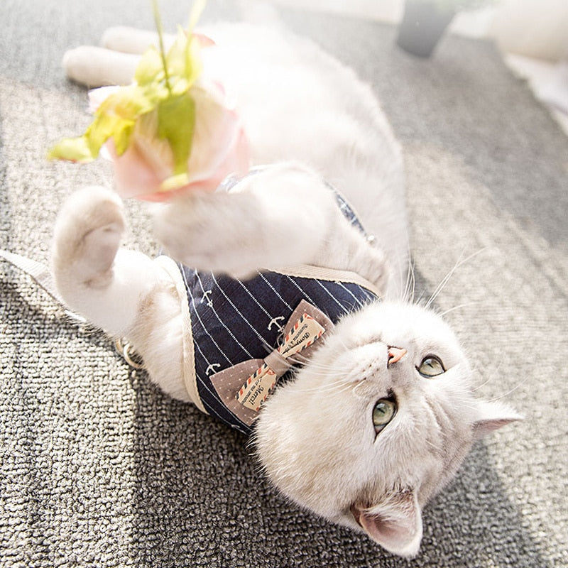 Coleira Roupinha para gatinhos - Tulipa®