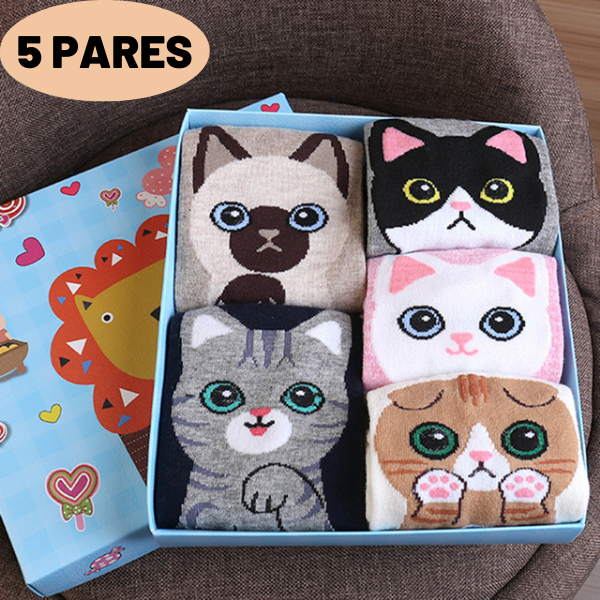 Kit 5 pares Meias femininas - Miau