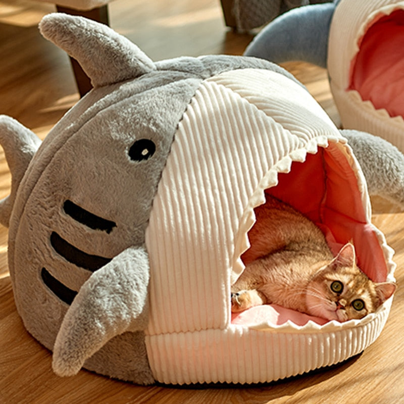 Caminha para gatinhos - Baby Shark