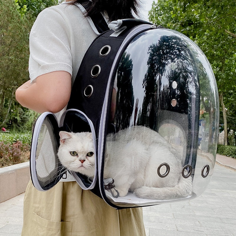 Mochila de transporte de gatinhos - Lolla