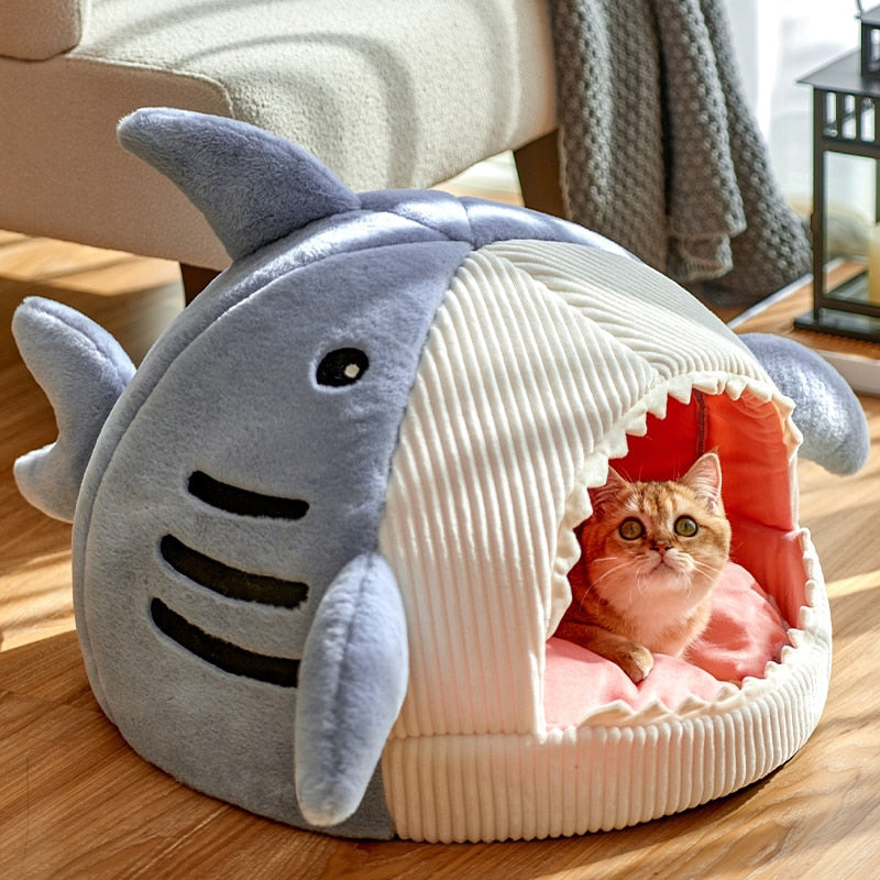 Caminha para gatinhos - Baby Shark