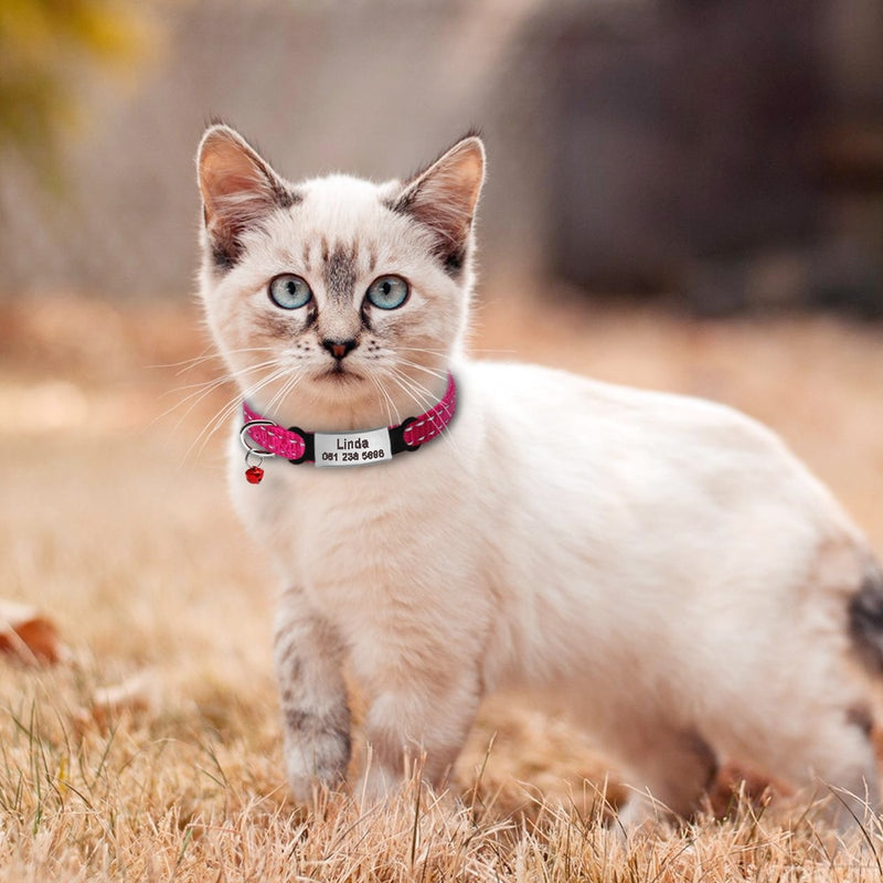 Coleira para gatos personalizada