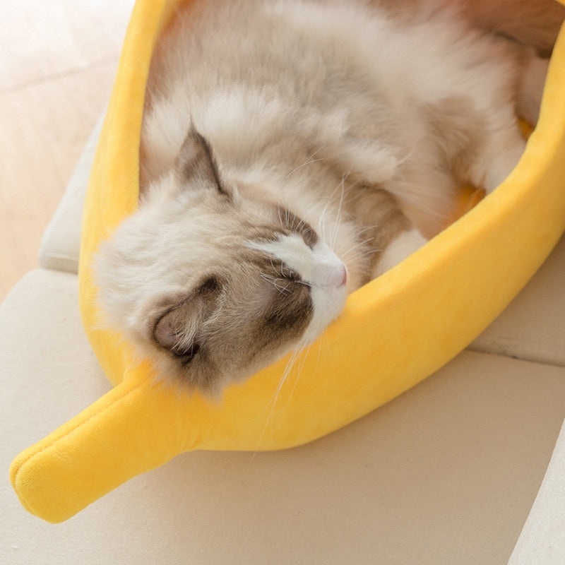 Cama para gatinhos - Bananinha ®