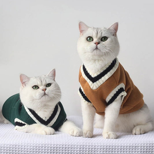 Sueter para gatinhos - School®